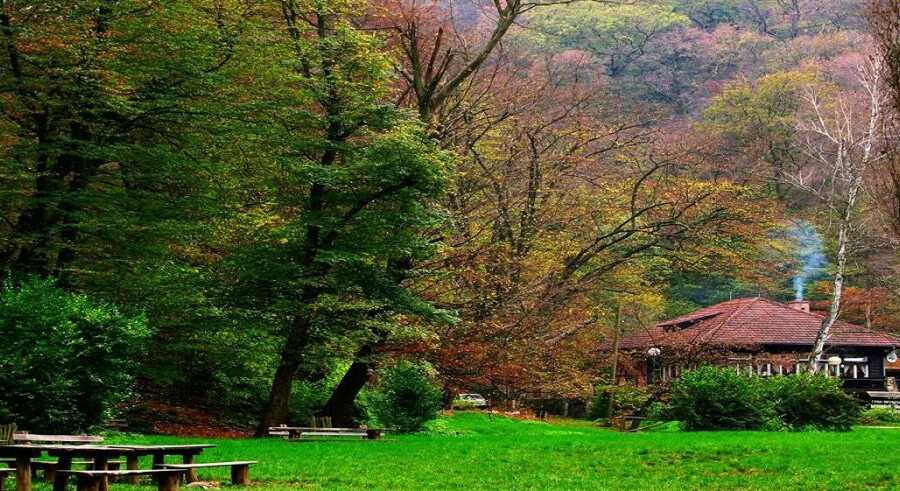 2020/01/images/tour_670/FG naslovna prava.jpg