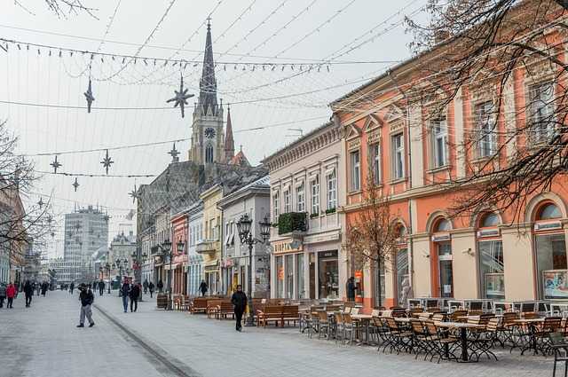 zmaj jovina ulica