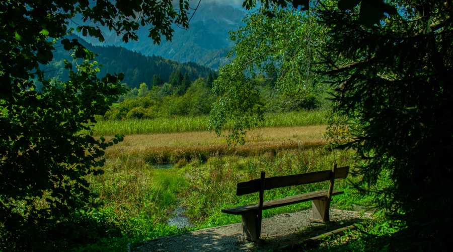 Fruska gora