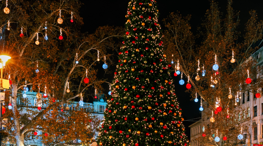 2023/11/images/tour_1407/11.png